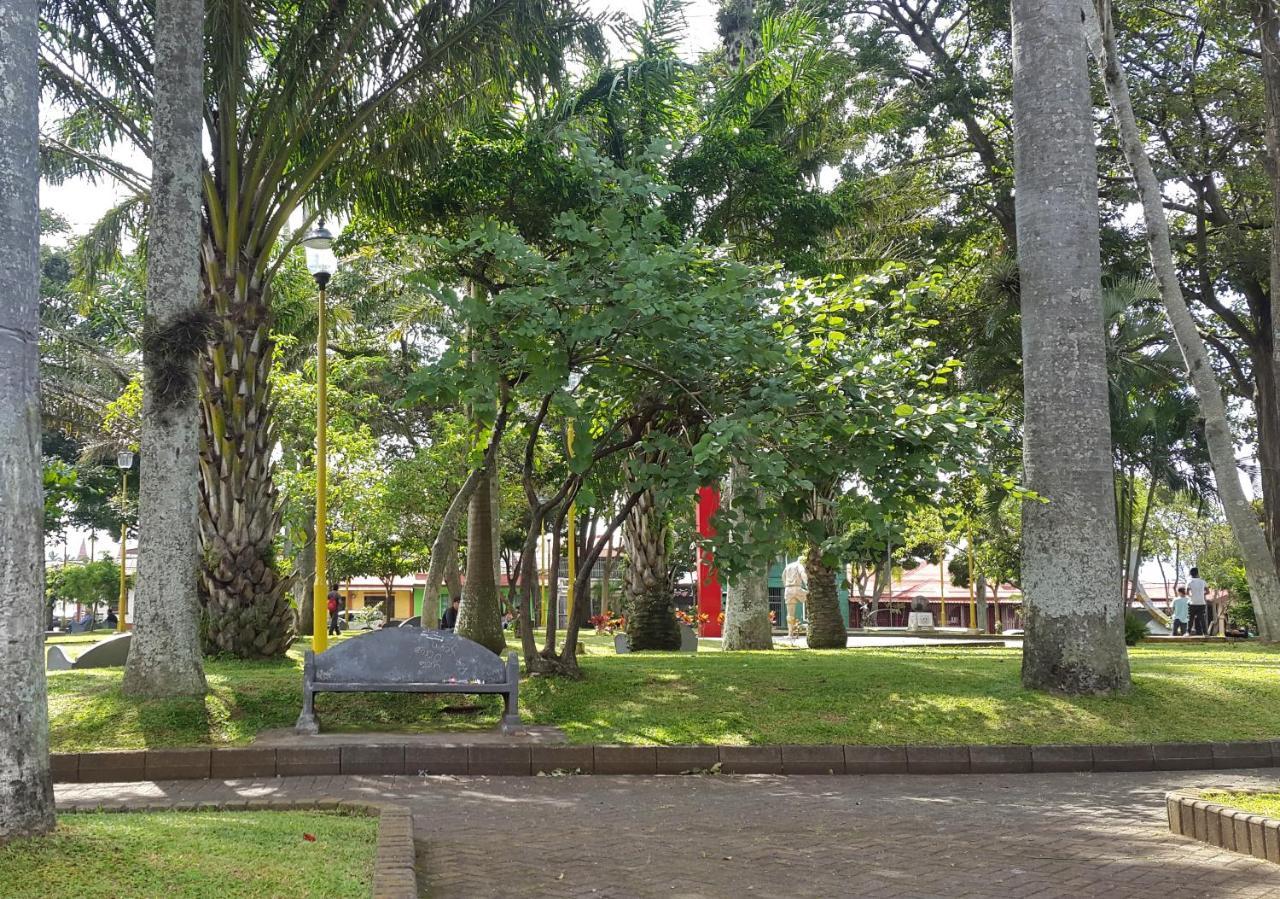アラフエラ Vida Tropical Bed & Breakfast エクステリア 写真