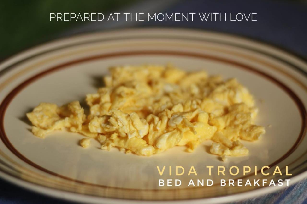 アラフエラ Vida Tropical Bed & Breakfast エクステリア 写真