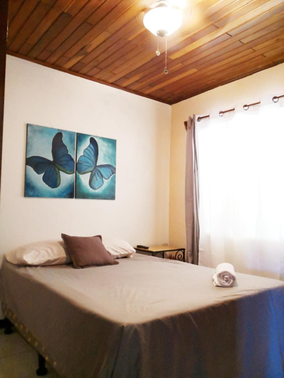 アラフエラ Vida Tropical Bed & Breakfast エクステリア 写真
