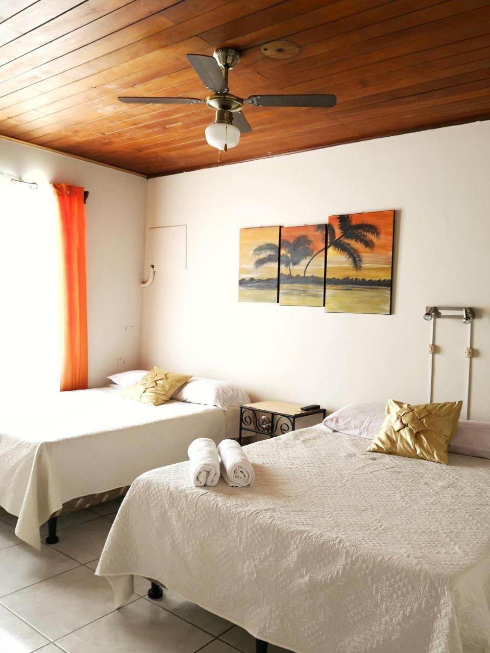 アラフエラ Vida Tropical Bed & Breakfast エクステリア 写真