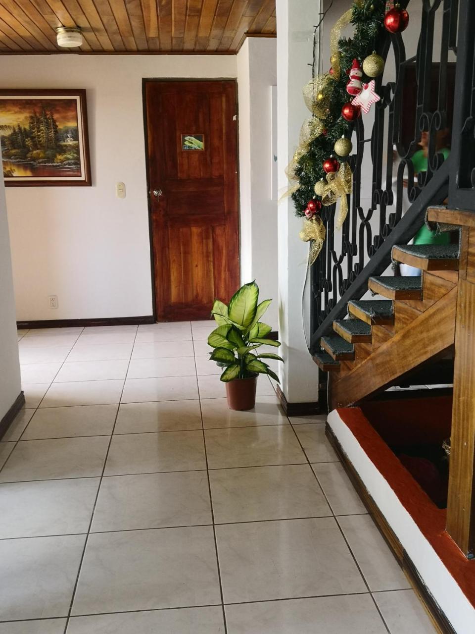 アラフエラ Vida Tropical Bed & Breakfast エクステリア 写真