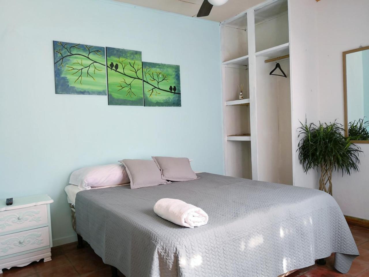 アラフエラ Vida Tropical Bed & Breakfast エクステリア 写真